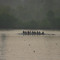 Canadians migrate here for the rowing (they come by bus). on the Clinch River