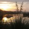 Dawn on the Flatwater section of the Clinch River, Kirkstall, TN