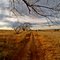 Trail to the Draw, Ned Houk Memorial Park