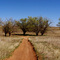 One of the trails leading down to Running Water Draw