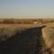 nature trail