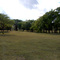 Ned Houk Park
