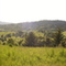 From Bald Hill looking west