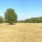 Grazin and blazin in the Oak Creek Valley at Bald Hill Farms.