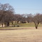 Eighth Green