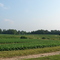 Charlotte County VA Farm Bell
