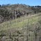 4 Switchback Slope