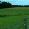 Summer Fields
