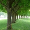 golf course 2008