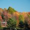Autumn near Endicott NY