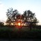 Carrizo Sunset
