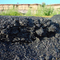 Surface coal seam