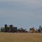 Retirement field.