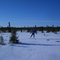 Crust skiing on the Powell Marsh