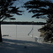 Winter Tracks