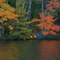 Kayaks on Island Lake