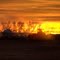 Seeding Soybeans, Sunup to Sundown. . .