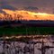 Sunset on a spring pond