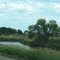 Sauk River near Melrose