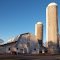Dairy Farm