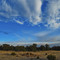 Early moring on mesa southeast of Eagar, Arizona
