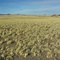 Toward the Springerville volcanic field
