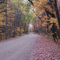 Fall Colors along Five Lakes Road, Lapeer County