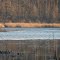 Sawdel Lake in the Lapeer state game area