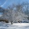 Blizzard of 2010