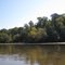beautiful fall floiage on the shores of kane crek