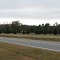 Christmas Tree Farm