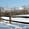 Winter apple orchard, Bennington VT