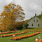 New England Vermont