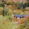 Fall in New England