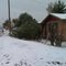 dia nevado en agua prieta