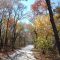 Fall at Arbor Hills Park, Plano, TX