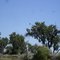 Birds from North Platte River