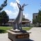 Jacolope Square in Douglas, WY