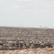 Cap Rock Cattle Feed, TX