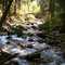 Fox Creek