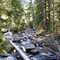 South Liegh Creek