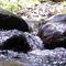 North Leigh Riffles