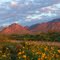 Florida Mountains southeast of Deming, NM