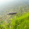 lake black well