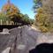 Old tracks