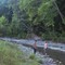 Dansville's nature