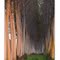 Between the rows