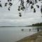 A Lake Beach at Detroit Lakes, Minnesota