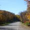 Autumn Colours in Detroit Lakes, MN