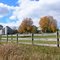 Autumn Farm